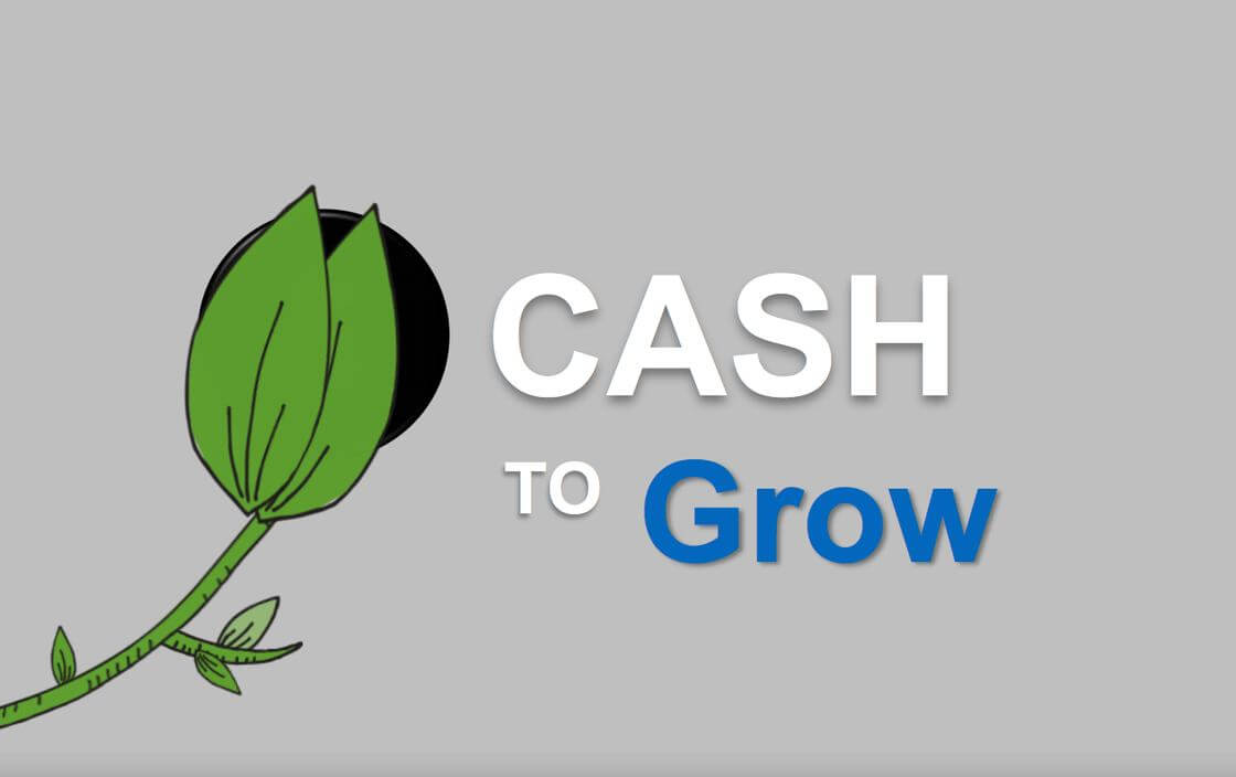 You Need Cash To Grow